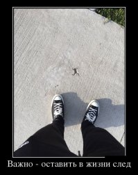 Демотиваторы