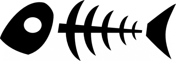 Фотоподборка за 16.09.2016