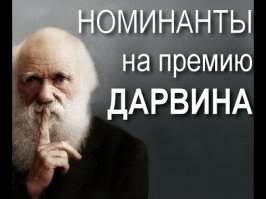 Идиота на гидроцикле чуть не затянуло под винты грузового судна