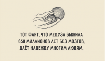  Прыжок в красивый водопад чуть не стал для любителя острых ощущений последним
