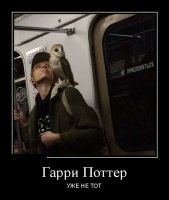 Чувак больше на Рона Уизли поож