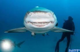 с языка ну или так