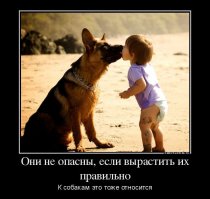 Хаски старался быть невозмутимым, но не устоял перед этим милым малышом 