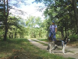 Тоже неплохой вариант