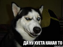 Ну и зачем постить такую фигню?!