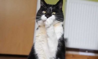 Немецкое кафе, где все вверх дном, пользуется бешеной популярностью у туристов