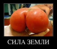 25 фотографий, на которых главное — правильный ракурс