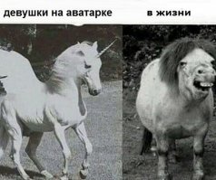 Приятные дамы из социальных сетей