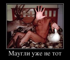 Все демотиваторы с уткой после расследования ФБК считать политическими :)))