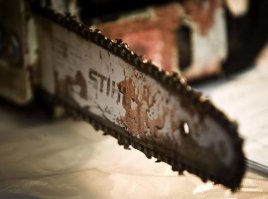 10 фокусов, которые привлекут внимание детей к науке