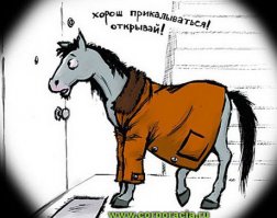 Самые известные лошади - от Буцефала до Лошарика