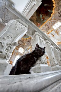 Немного  кис из Эрмитажа.