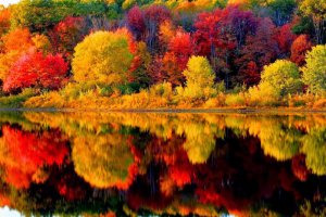 Обои на осеннюю тематику 