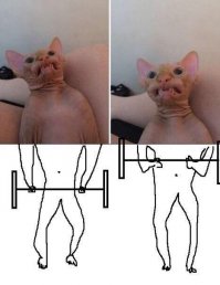 Смешные картинки из соц.сетей