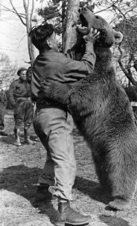 А был Войтек настоящий мишка