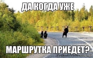 Няшный пост. Про колосапых
