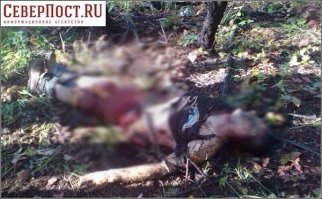 Да,сильный.Да,красивый.Но няшный...