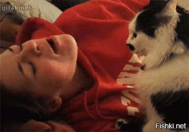 Любительницам целовать котиков - посвящается. Здоровья вам крепкого, и отсутствия паразитов в орган