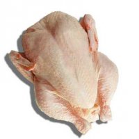 Попугай без перьев стал звездой интернета