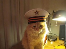 Очень интересные исторические фото, которые обязательно надо увидеть