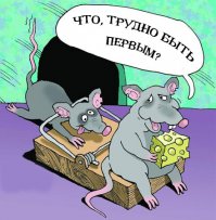 Гениальная мышеловка из пластиковой бутылки