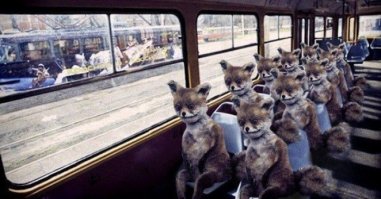 Неудачные работы таксидермистов