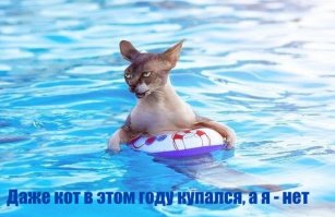 Смешные картинки из соц.сетей