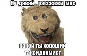Первым фото навеяло.      ;)