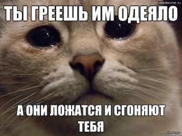 Смешные картинки из соц.сетей