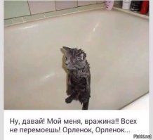 Милота 80 уровень (видео)