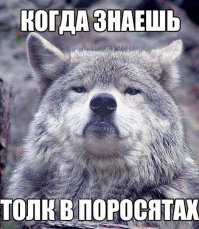 Смешные картинки из соц.сетей