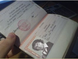 гарри сталлоне