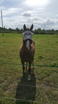 Ребятам о зверятах: наш мир «не нашими» глазами