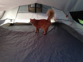 Фотоподборка за 20.09.2016