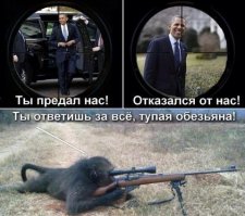 Подборка фотографий, на которых непонятно что вообще происходит