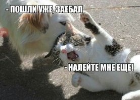 Трезвенникам, язвенникам - вход воспрещён!