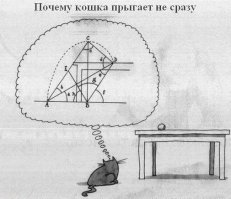 Ребятам о зверятах: наш мир «не нашими» глазами