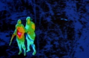 Ребятам о зверятах: наш мир «не нашими» глазами