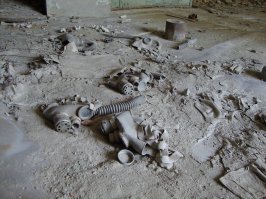 немножко моих фото из Зоны, 2013 год