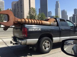 Фотоподборка за 20.09.2016