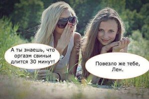 15 странных особенностей поведения различных животных во время спаривания