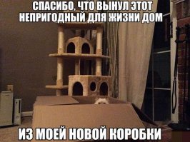 Фотоподборка 