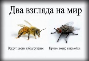 Будни развитого социализма #2