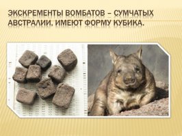 подумалось...