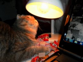 Дресс-код, который исцеляет