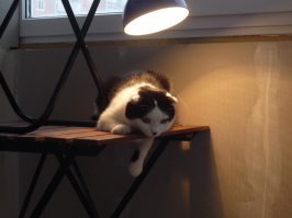 Дресс-код, который исцеляет