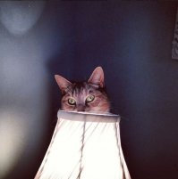 Дресс-код, который исцеляет