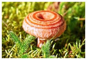 Фотоподборка 