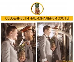 Любимая киноеда