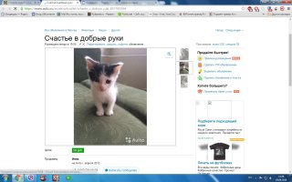 я несколько дней назад взял месячного котенка! его нашли на улице ужас короче! я не смог не взять его! но я вообще не знаю что делать дальше в плане корма! женщина отдала роял канин для котят в виде паштета, и вообще она очень добрая, отдала все что купила для него, лоток, переноску-домик он там спит, три банки корма, смесь как молоко у кошки, витамины, жидкость для глазок, от глистов лекарства! все бесплатно и к подъезду привезла, я 500 р дал, хотел больше но она не взяла! вчера купили ему всяких игрушек и шампуни! когда спит я ему под его подстилку положил сушилки для обуви у него там очень тепло! вот объявление и уже мои фотки! сегодня пойду к врачу спрошу чем лучше кормить и все такое! жене сказал что в магазин а сам котенка принес, ну раздеваюсь, а он в зал пробежал, жена говорит Максим там кто то пробежал, я говорю да ты чего кто это может быть, она говорит сходи посмотри, я вышел а Котик за мной, она аж прослезилась) не отходит теперь от него.